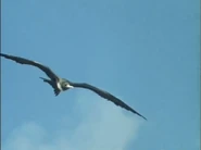 Life on Earth (1979)