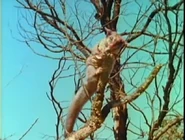 Mutual of Omaha's Wild Kingdom Classics