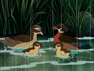 The Magic School Bus (1994-1997)