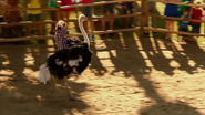 Blended (2014)
