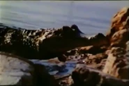 Sauvage Et Beau (1984)