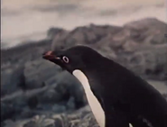 Voyage to the Edge of the World (1977)