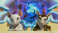 Animalia (2007-2008)