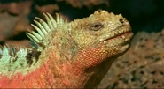 Dragon Alive (2004)