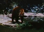 The Jungle Book (1942)