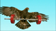 Animal Games (2004)