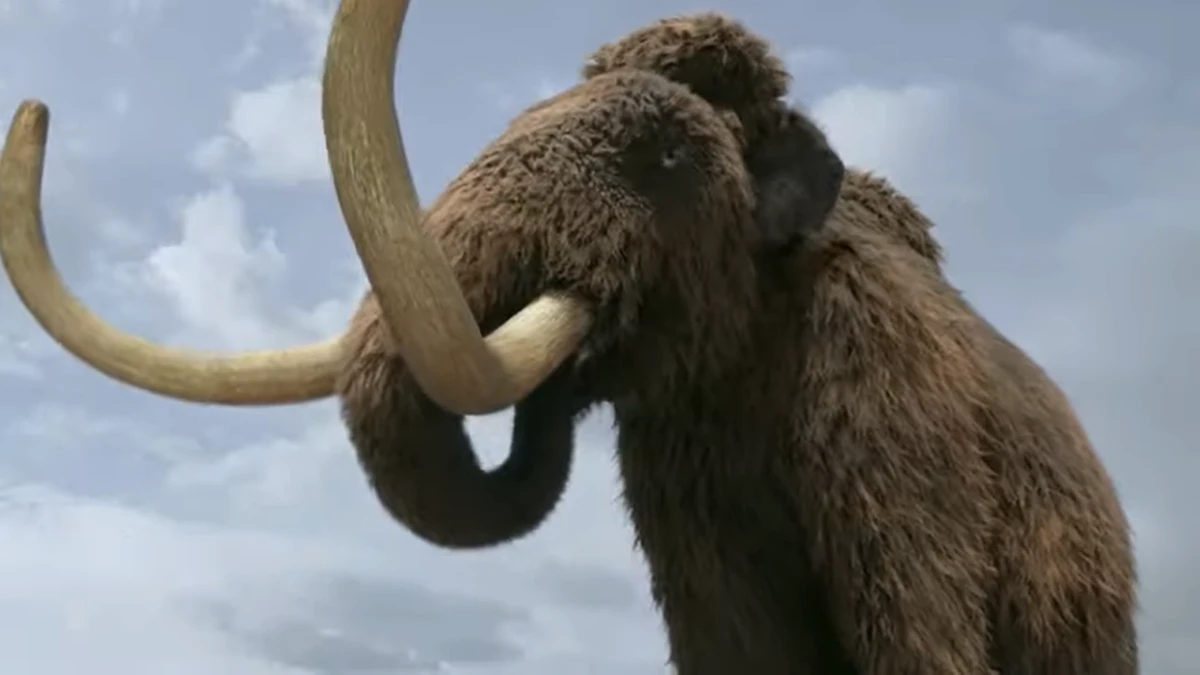 DK Handbook Dinosaurs and Prehistoric Life | NatureRules1