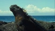 Earth: One Amazing Day (2017)