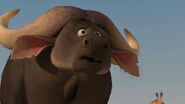 Madagascar: Escape 2 Africa (2008)