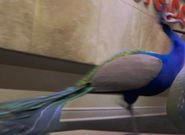 Storks (2016)