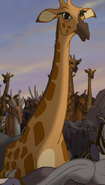 TLK3 Giraffe
