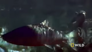 Alaska's Deadliest (2018)