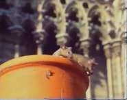 Falcons Over Paris (1991)