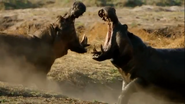 Hostile Planet (2019)