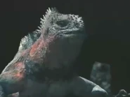 Voyage to the Galapagos (2013)