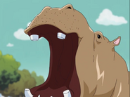 Bobobo-Bo-Bo-Bobo (2003-2005)