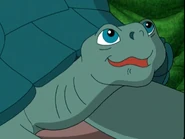 Go, Diego, Go! (2005-2011)