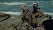 The Blue Planet (2001)