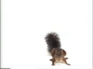Amazing Animals (1996-1999)