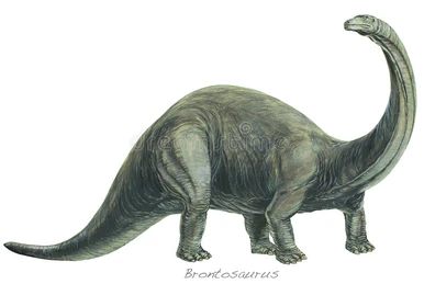 Monoclonius | Dinopedia | Fandom