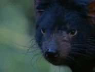 The Most Extreme (2002-2007)