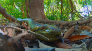 Amazon Queen (2021)