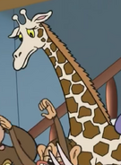 Brandy and Mr Whiskers Giraffe