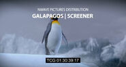 Galapagos: Nature's Wonderland (2014)