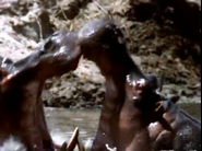 Land of Lost Monsters (2004)