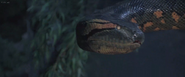 Anaconda (1997)