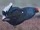 Black Grouse