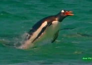 Eden at the End of the World (2008)