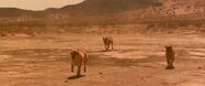 Kangaroo Jack (2003)