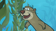 Nature Cat (2015-2024)