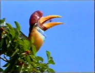 Indonesia: Fire Islands (2001)