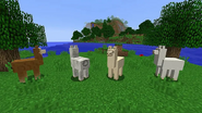 Minecraft (2011)