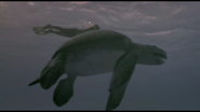 Sea Monsters (2003)