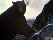 Beaver Valley (1950)
