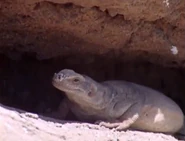 Lost Tapes (2009-2011)