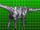 Cetiosaurus