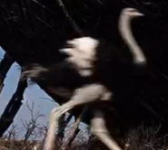 In the Beginning (1966)