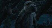 Mufasa: The Lion King (2024)