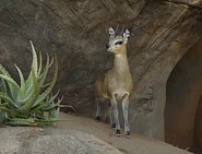 The Most Extreme (2002-2007)