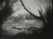 Untamed Africa (1933)