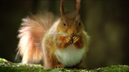 Ireland's Wild River (2014)