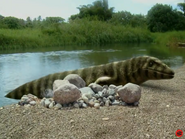 Prehistoric (2009) “Prehistoric Dallas”