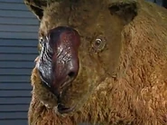 The Most Extreme (2002-2007)