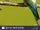 European Bee-eater
