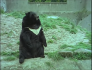 Eyewitness (1994-1997)