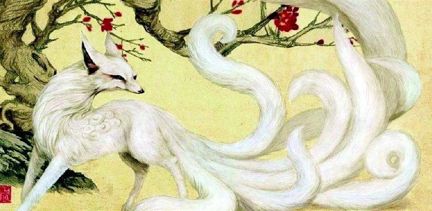 Kitsune | NatureRules1 Wiki | Fandom